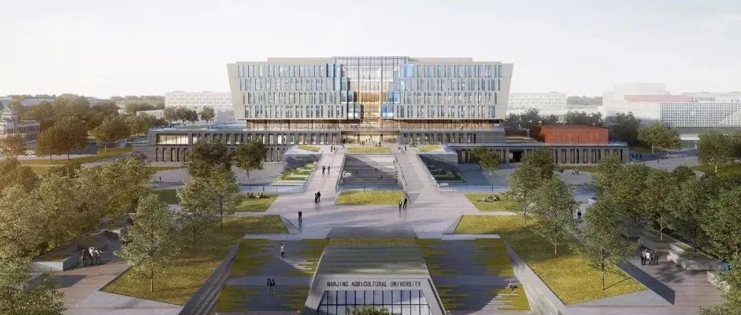 南京農業大學江北新校區一期工程章之汶圖書館順利實現封頂